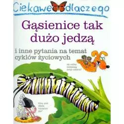 CIEKAWE DLACZEGO GĄSIENICE TAK DUŻO JEDZĄ - Olesiejuk