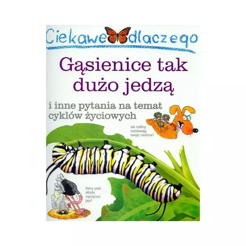 CIEKAWE DLACZEGO GĄSIENICE TAK DUŻO JEDZĄ - Olesiejuk
