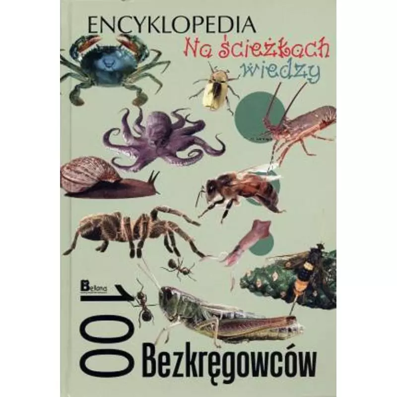 100 BEZKRĘGOWCÓW. NA ŚCIEŻKACH WIEDZY. ENCYKLOPEDIA - Bellona