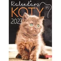 KALENDARZ 2023 ŚCIENNY KOTY A4 - o-press