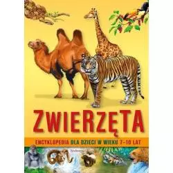 ZWIERZĘTA. ENCYKLOPEDIA DLA DZIECI W WIEKU 7-10 LAT - Siedmioróg