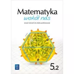 MATEMATYKA WOKÓŁ NAS ZESZYT ĆWICZEŃ DLA KLASY 5 CZĘŚĆ 2 SZKOŁY PODSTAWOWEJ - 