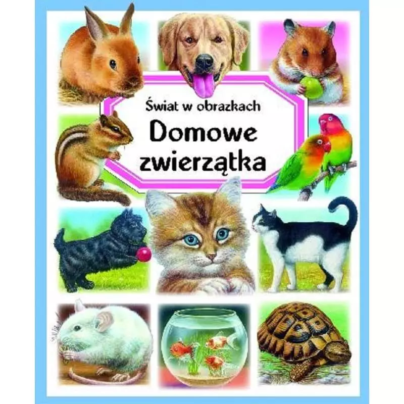 DOMOWE ZWIERZĄTKA. ŚWIAT W OBRAZKACH - Olesiejuk