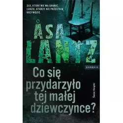 CO SIĘ PRZYDARZYŁO TEJ MAŁEJ DZIEWCZYNCE? - Świat Książki