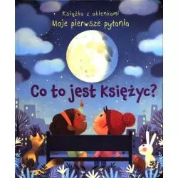 CO TO JEST KSIĘŻYC? KSIĄŻKA Z OKIENKAMI. MOJE PIERWSZE PYTANIA - Olesiejuk