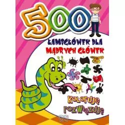 500 ŁAMIGŁÓWEK DLA MĄDRYCH GŁÓWEK. KOLORUJĘ, ROZWIĄZUJĘ - Arti