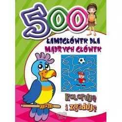 500 ŁAMIGŁÓWEK DLA MĄDRYCH GŁÓWEK. KOLORUJĘ I ZGADUJĘ - Arti