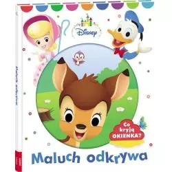 DISNEY. MALUCH ODKRYWA. CO KRYJĄ OKIENKA? - Ameet