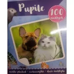 PUPILE. 100 NAKLEJEK - Yoyo Books