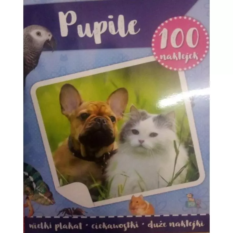 PUPILE. 100 NAKLEJEK - Yoyo Books