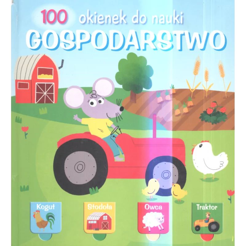 GOSPODARSTWO. 100 OKIENEK - Yoyo Books