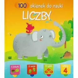 LICZBY. 100 OKIENEK DO NAUKI - Yoyo Books