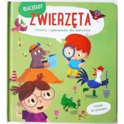 ZWIERZĘTA. DLACZEGO? PYTANIA I ODPOWIEDZI DLA MALUCHA - Yoyo Books