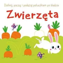 ZWIERZĘTA. DOTKNIJ, POCZUJ I PODĄŻAJ PALUSZKIEM PO ŚLADZIE - Yoyo Books