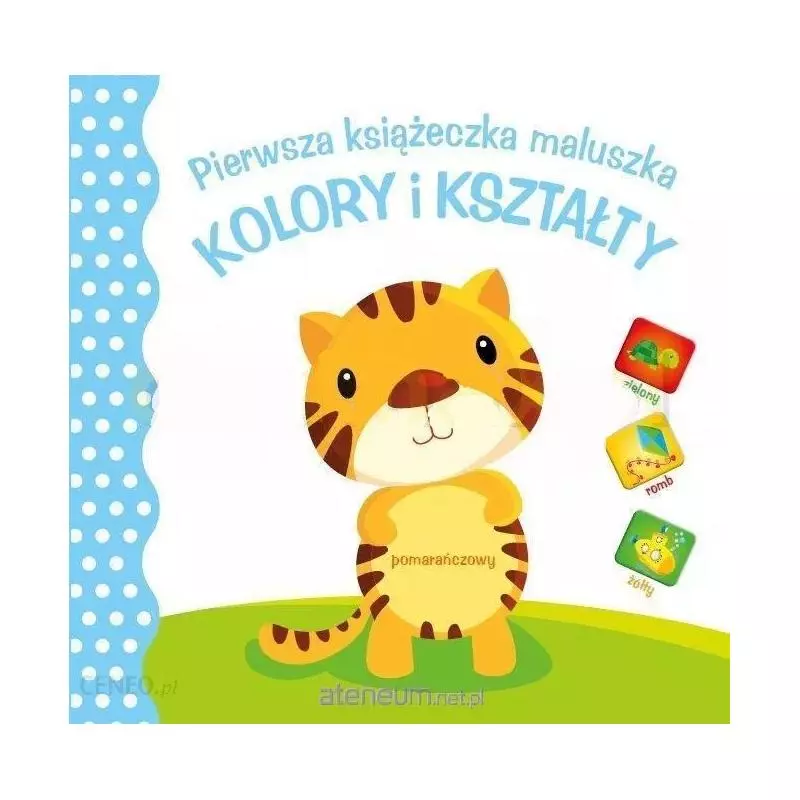 KOLORY I KSZTAŁTY. PIERWSZA KSIĄŻECZKA MALUSZKA - Yoyo Books