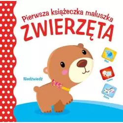 ZWIERZĘTA. PIERWSZA KSIĄŻECZKA MALUSZKA - Yoyo Books