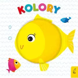 KOLORY - Wilga