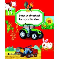 GOSPODARSTWO ŚWIAT W OBRAZKACH - Olesiejuk