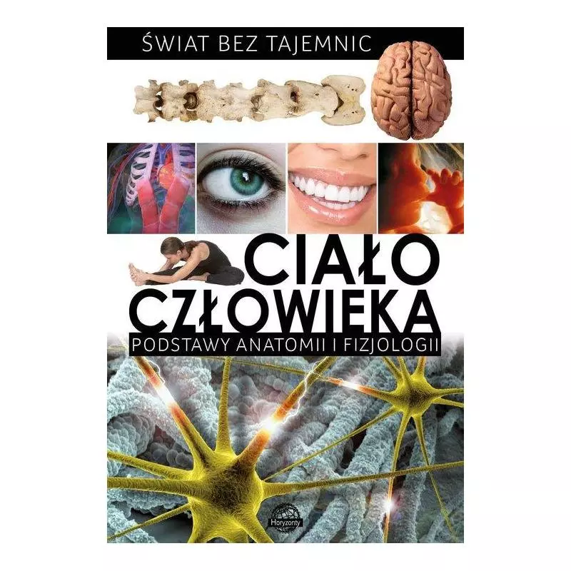 CIAŁO CZŁOWIEKA. PODSTAWY ANATOMII I FIZJOLOGII. ŚWIAT BEZ TAJEMNIC - Ibis