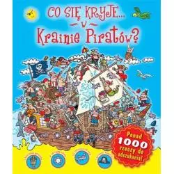 CO SIĘ KRYJE W KRAINIE PIRATÓW - Zielona Sowa