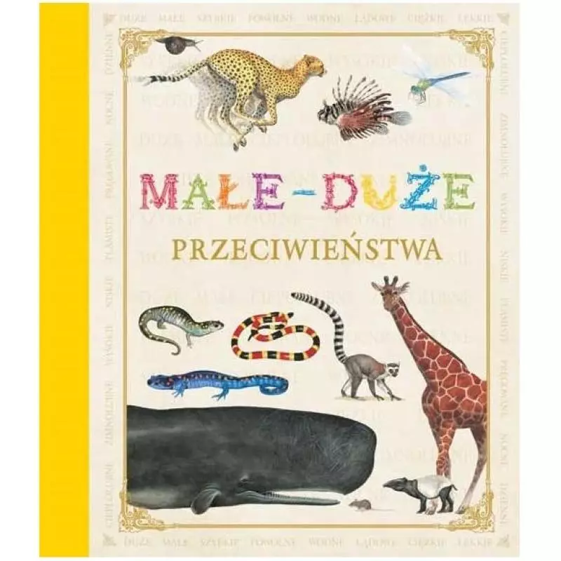 MAŁE-DUŻE PRZECIWIEŃSTWA - Zielona Sowa