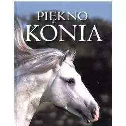 PIĘKNO KONIA