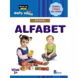 BAWIĘ SIĘ I UCZĘ ŚCIERAJ I RYSUJ OD NOWA POZNAJ ALFABET 3+