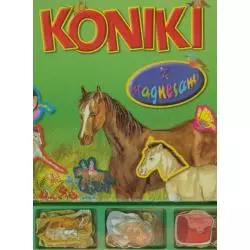 KONIKI Z MAGNESAMI