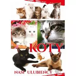 KOTY. NASI ULUBIEŃCY