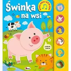 ŚWINKA NA WSI. NAŚLADUJ DŹWIĘKI
