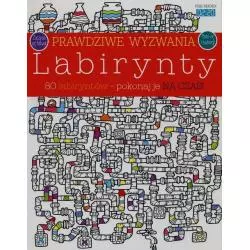 PRAWDZIWE WYZWANIA. LABIRYNTY