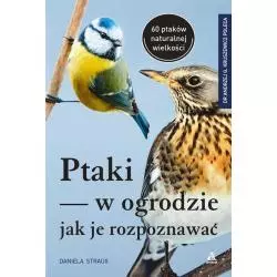 PTAKI W OGRODZIE. JAK JE ROZPOZNAWAĆ