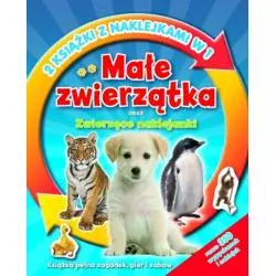 MAŁE ZWIERZĄTKA ORAZ ZWIERZĘCE NAKLEJANKI. 2 KSIAŻKI Z NAKLEJKAMI W 1