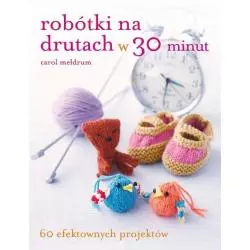 ROBÓTKI NA DRUTACH W 30 MINUT. 60 EFEKTOWNYCH PROJEKTÓW