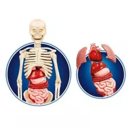 CIAŁO LUDZKIE NAUKOWA ZABAWA 9+ - Clementoni