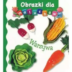WARZYWA. OBRAZKI DLA MALUCHÓW