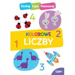 KOLOROWE LICZBY. SZUKAJ, ŁĄCZ, POZNAWAJ 12M+ - Wilga