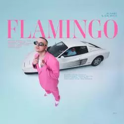 PLANBE FLAMINGO CD