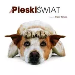 PIESKI ŚWIAT