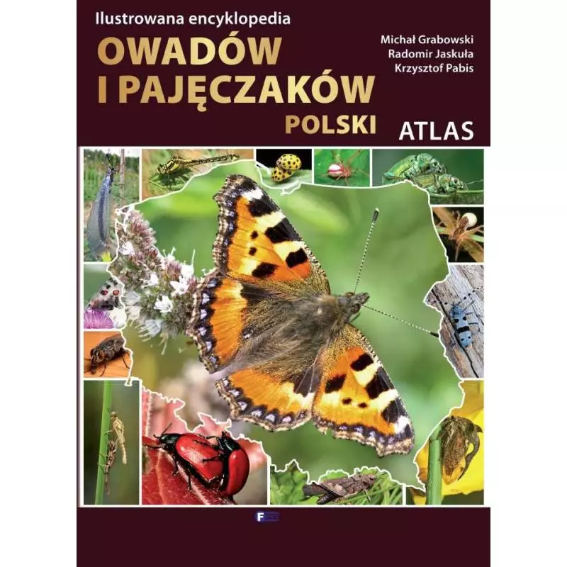 ILUSTROWANA ENCYKLOPEDIA OWADÓW I PAJĘCZAKÓW POLSKI Krzysztof Pabis, Michał Grabowski, Radomir Jaskuła - Fenix