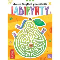 LABIRYNTY. ULUBIONE ŁAMIGŁÓWKI PRZEDSZKOLAKA OD 5 LAT
