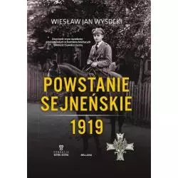 POWSTANIE SEJNEŃSKIE 1919