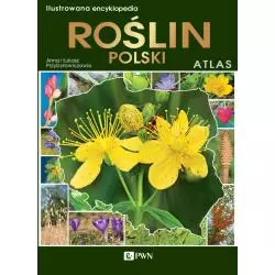 ILUSTROWANA ENCYKLOPEDIA ROŚLIN POLSKICH ATLAS Anna Przybyłowicz, Łukasz Przybyłowicz - Fenix