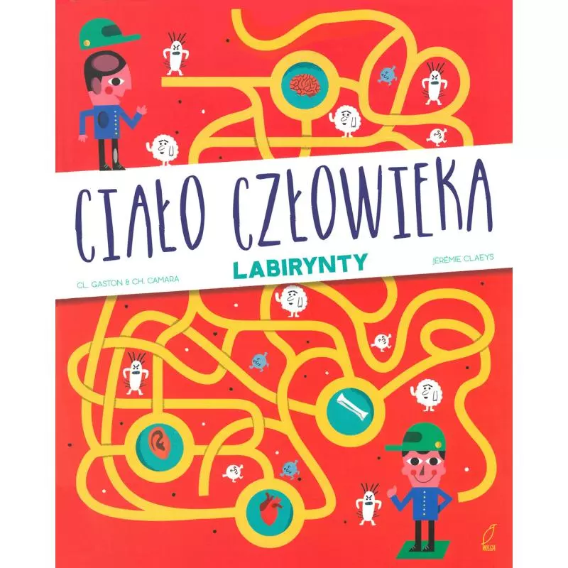 CIAŁO CZŁOWIEKA. LABIRYNTY - Wilga