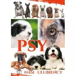 PSY. NASI ULUBIEŃCY