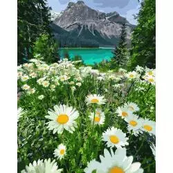 RUMIANKI W GÓRACH MALOWANIE PO NUMERACH 40 X 50 CM