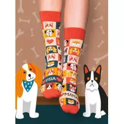 SKARPETY KOLOROWE DŁUGIE PSIA MAMA ROZMIAR 35-38
