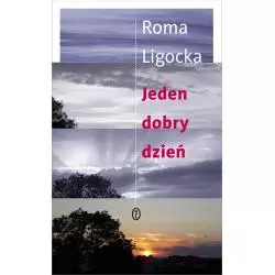 JEDEN DOBRY DZIEŃ