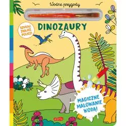 DINOZAURY. WODNE PRZYGODY. MAGICZNE MALOWANIE WODĄ