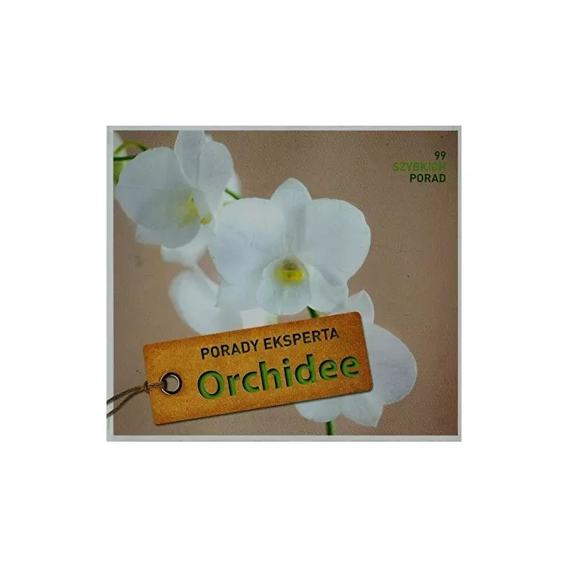 ORCHIDEE PORADY EKSPERTA Kullmann Folko